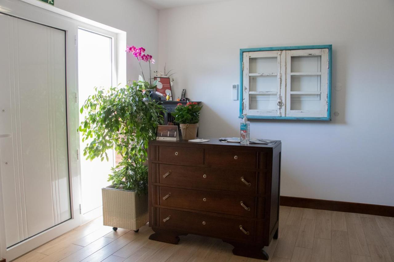 Bed and Breakfast Ninho D'Arara Tondela Exterior foto